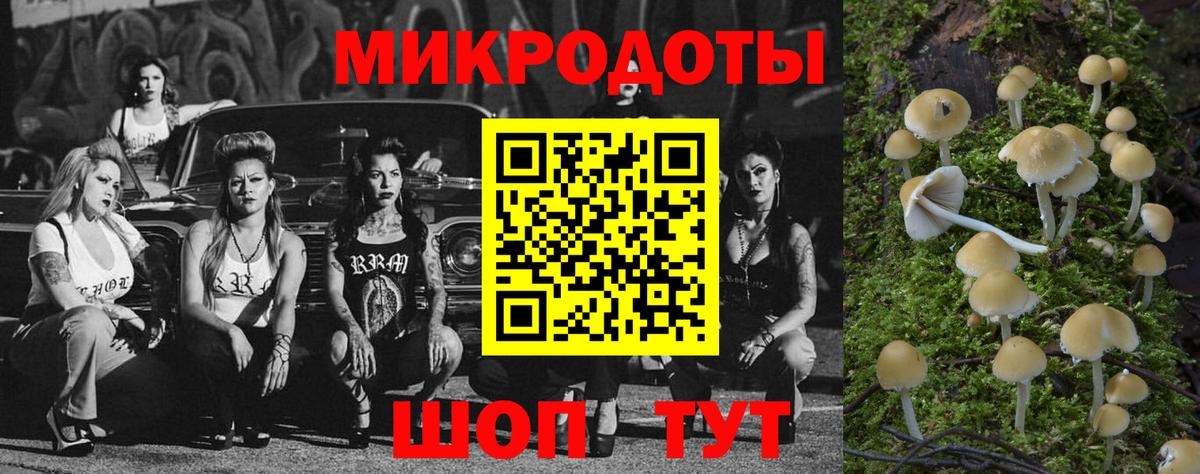 Тара  Галлюциногенные грибы Psilocybe  Вход с VPN 