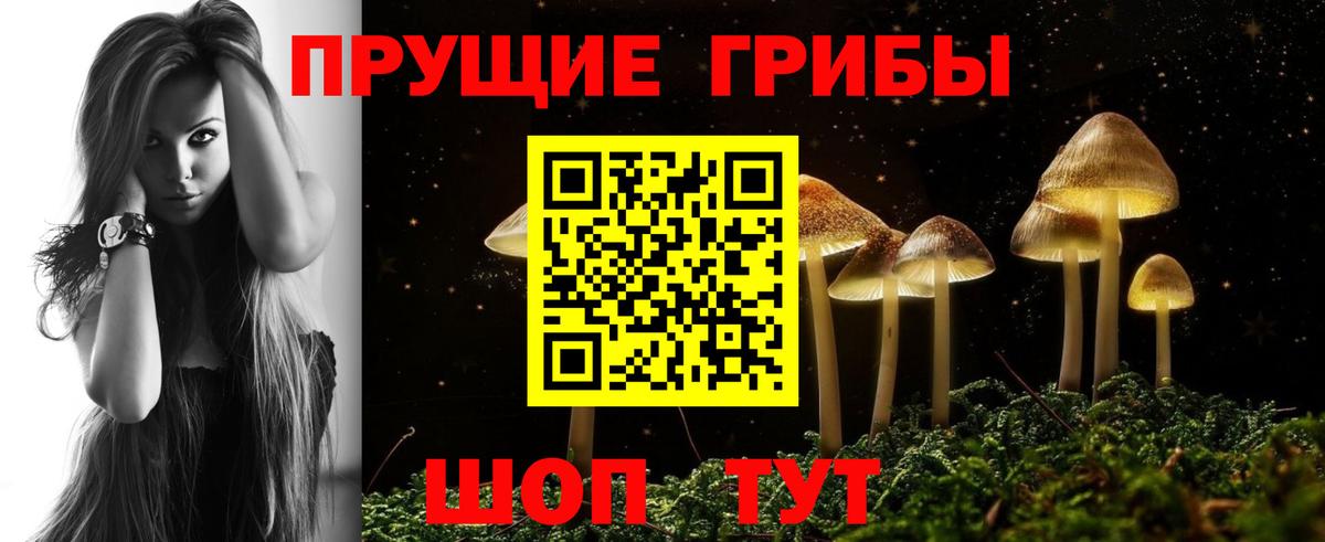 Галлюциногенные грибы ЛСД Тара